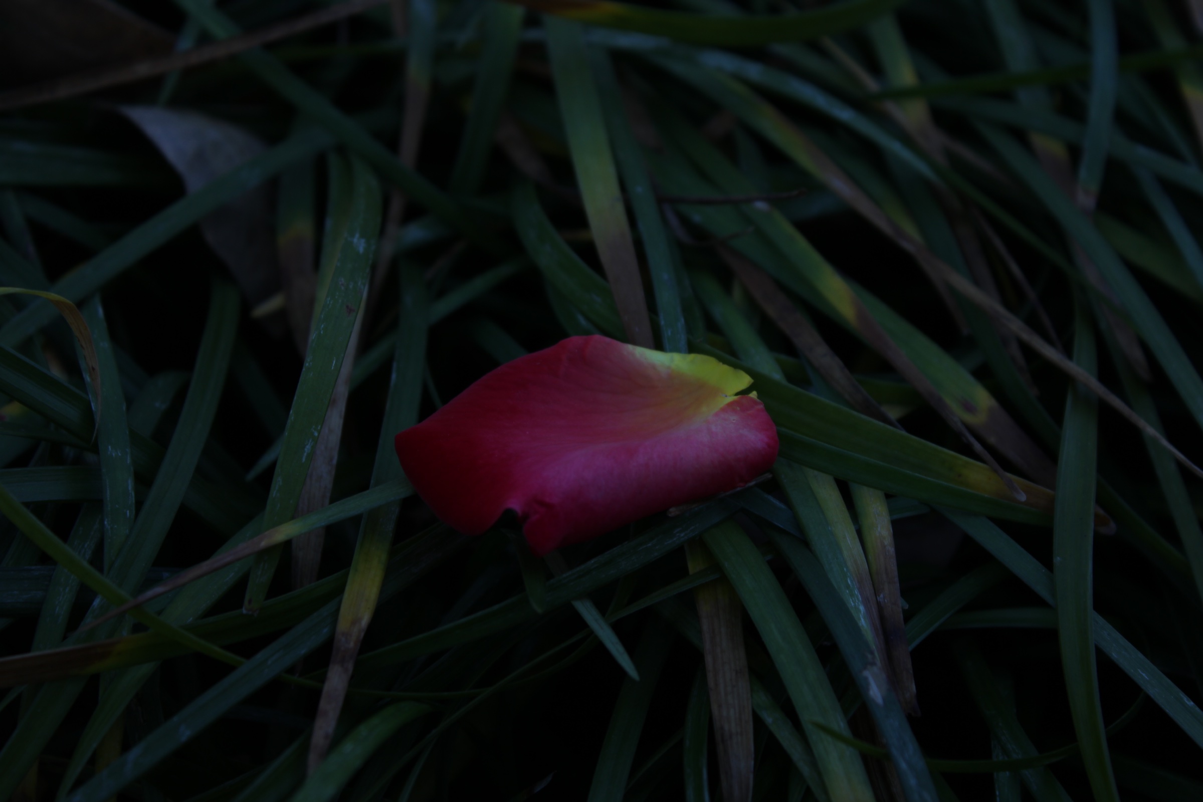 observation 05