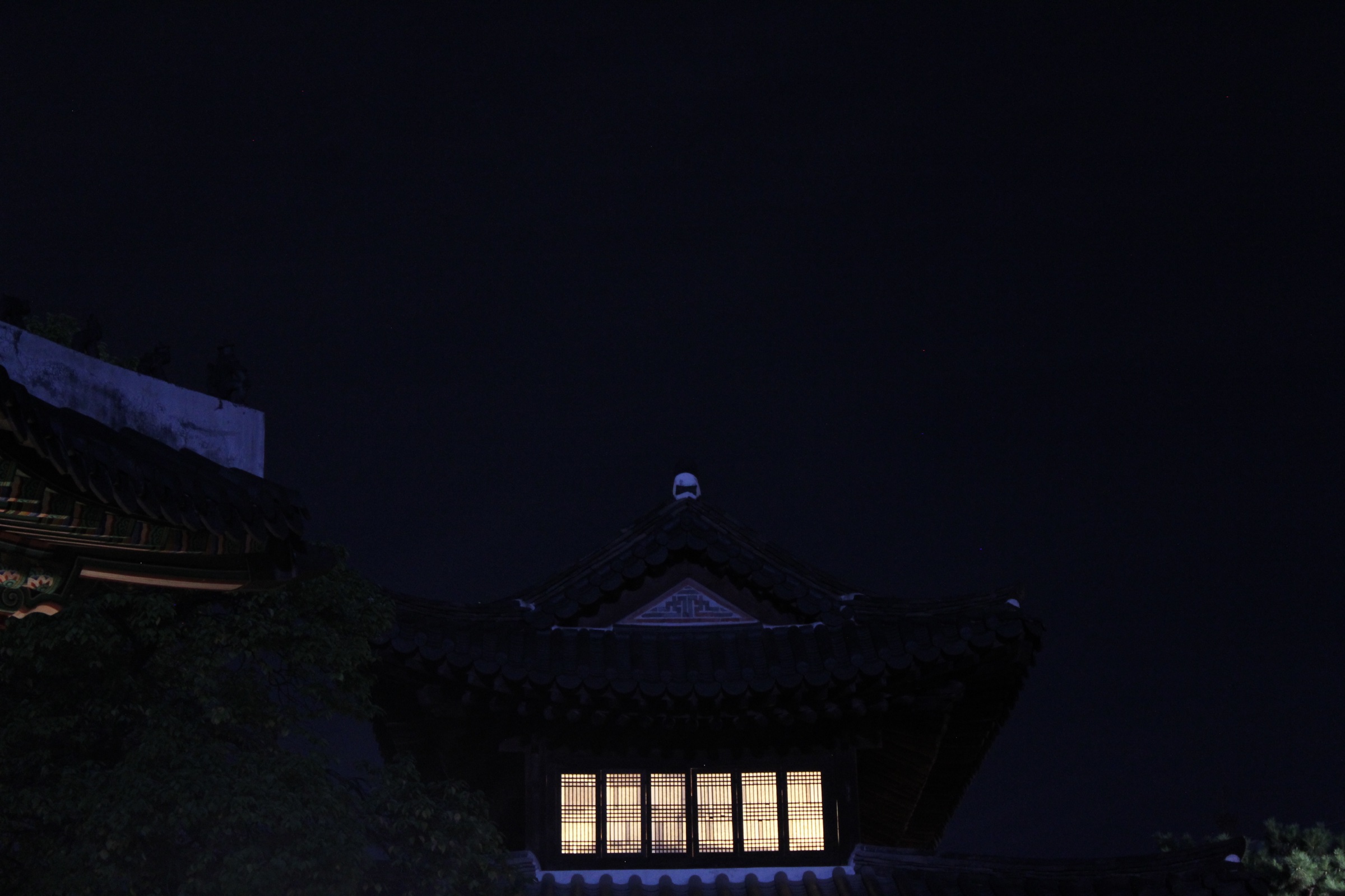 observation 06